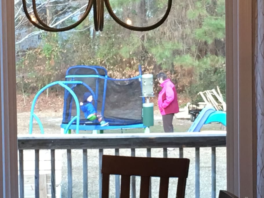 Large back yard, with plenty of room to run around.