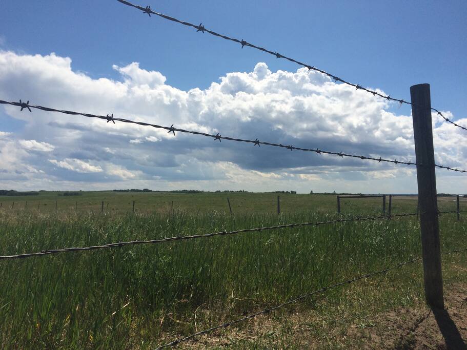 Prairie views