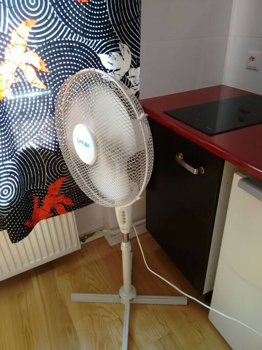 fan, wentylator