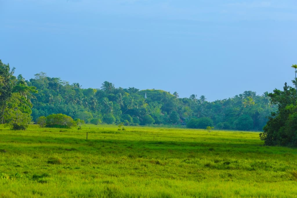 Nisala offers a rare opportunity to experience the 'other' Sri Lanka
