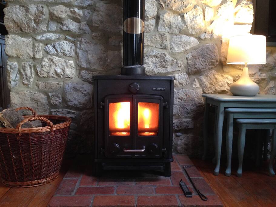 Efficient wood burning stove