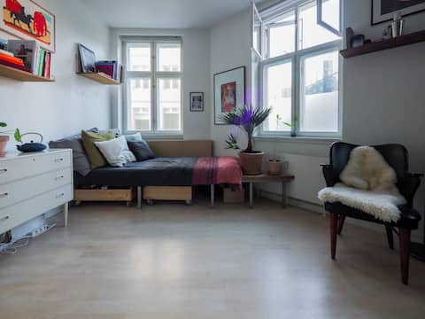Wonderful apartment in the center of Copenhagen
