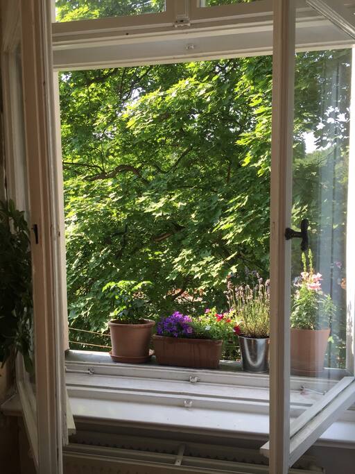 Der Blick aus dem Wohnzimmerfenster