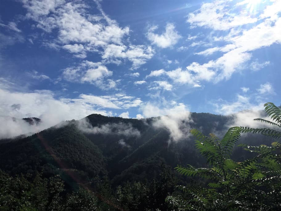 View from the Terrace
