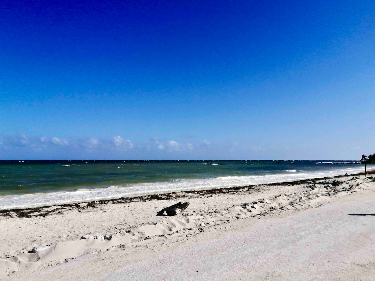 A sandy beach stretches along the shoreline under a clear blue sky. Gentle waves lap at the shore, and a few clouds can be seen in the distance. Seaweed is present along the water's edge, indicating varying beach conditions.