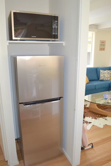 Fridge / Microwave