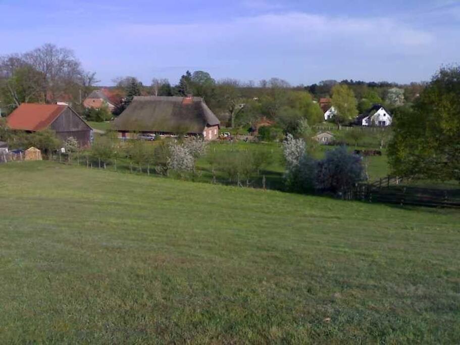 Blick auf das historische Gehöft "Alte Büdnerei No.7"