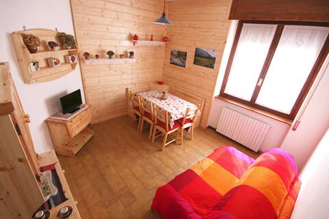 Stella Alpina (Edelweiss)