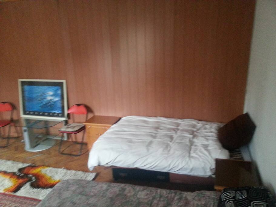 DOLPHINS ROOM ***