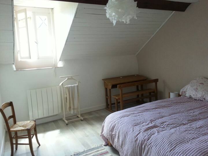 Habitación 1