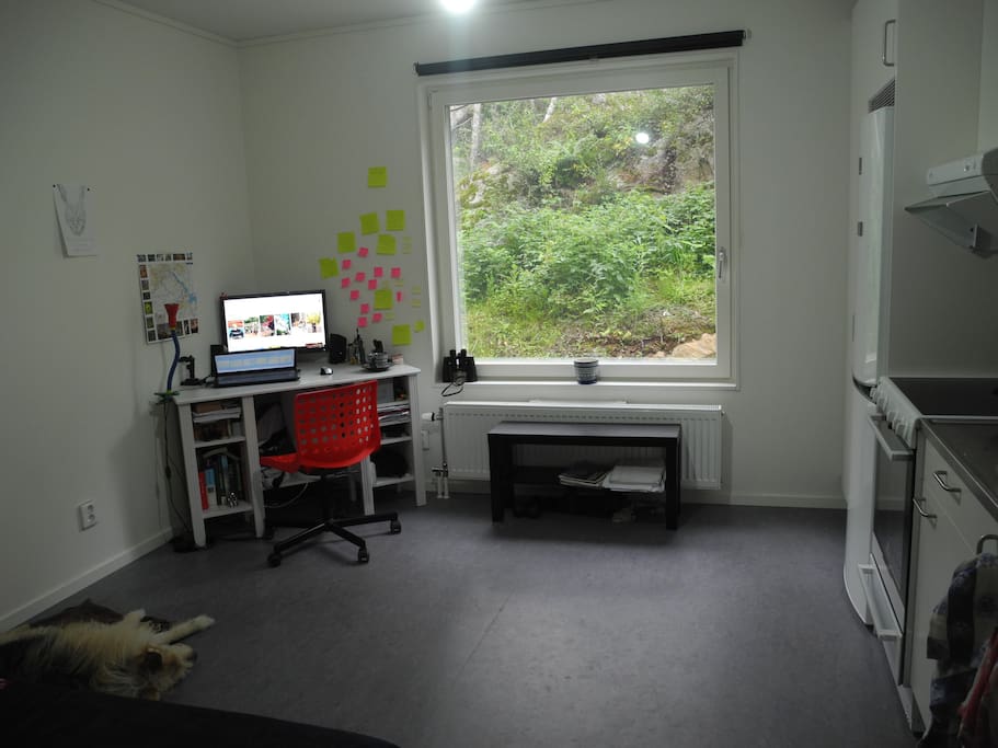 the room, view on a woody hill side
