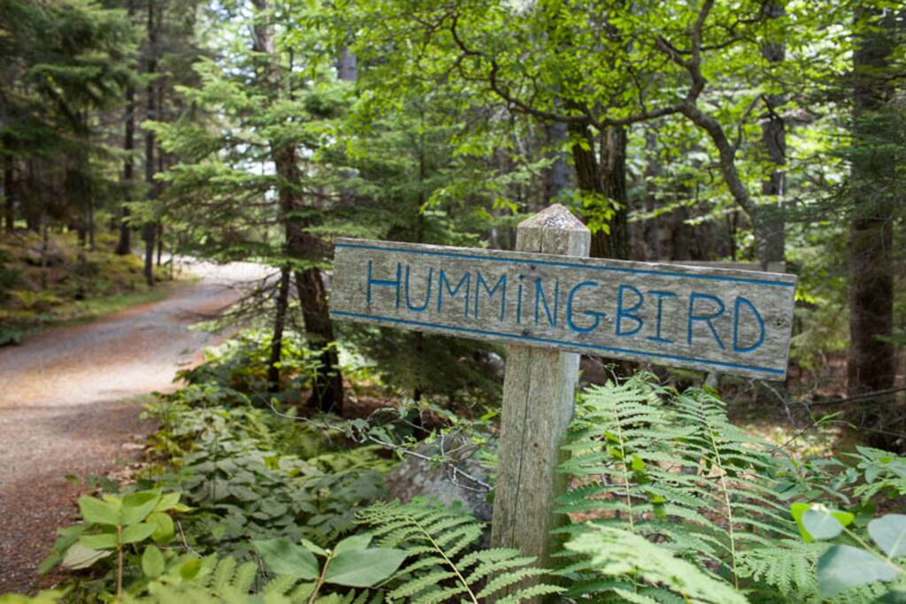 Sign at Driveway Entrance