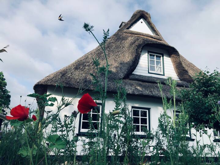 StelleWittenwurth Vacation Rentals & Homes SchleswigHolstein, Germany Airbnb