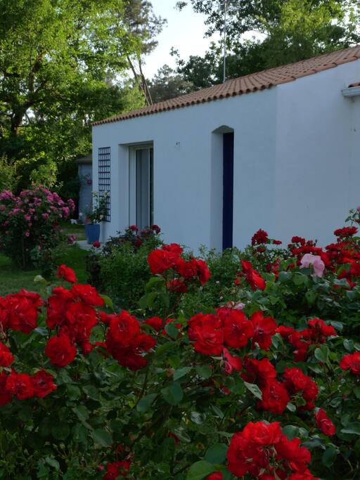 Gîte ' Porte des iles '