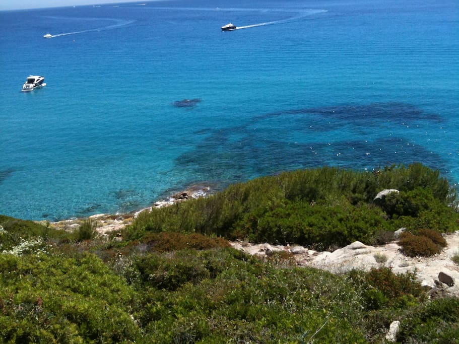 Promenades et baignades à proximité