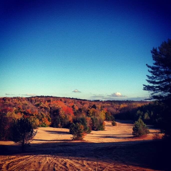 Pure white sand and breathtaking foliage!