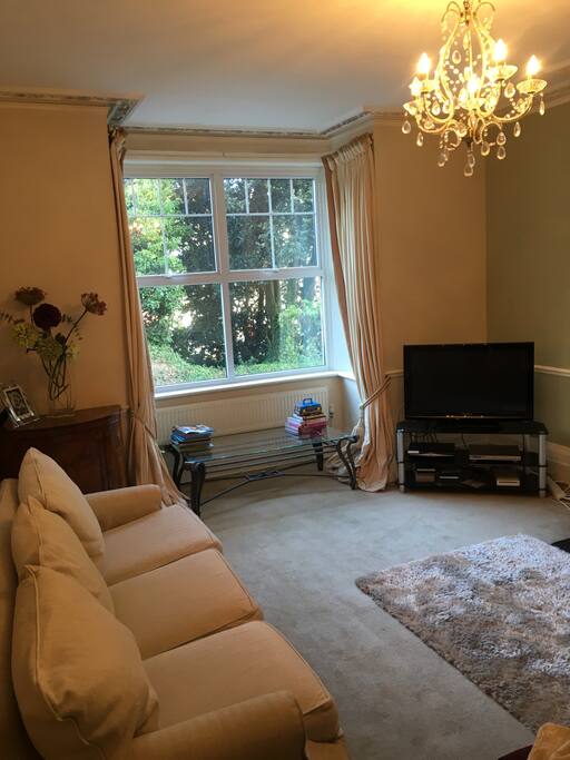 Beautiful and traditional lounge with open fire