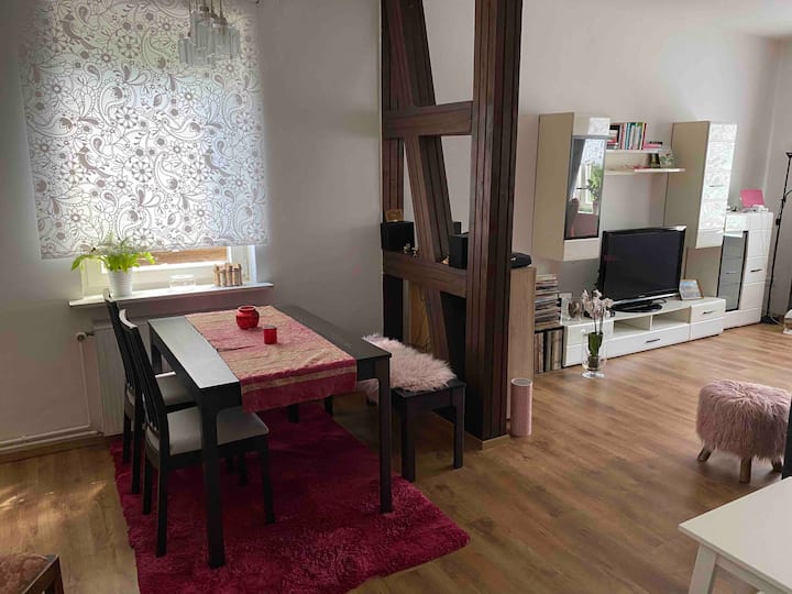 Cozy apartment in Lerbach