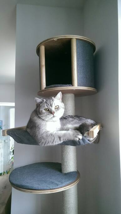 James in hammock
