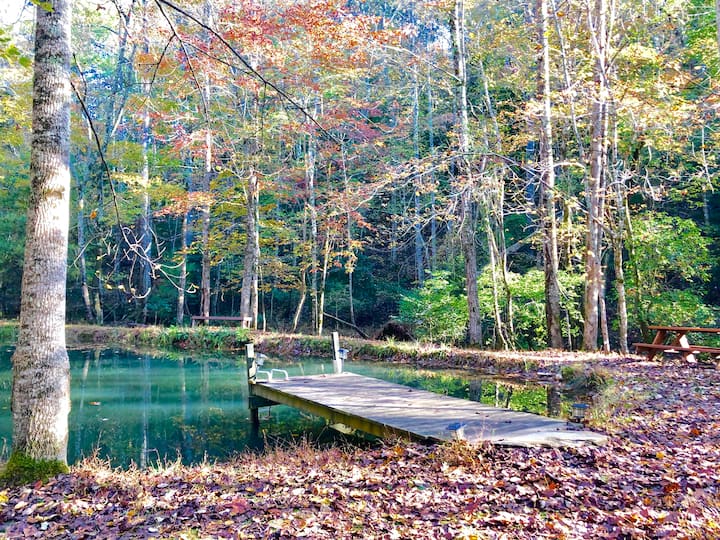 10 Best PetFriendly Airbnbs In Dahlonega, Updated 2024 Trip101