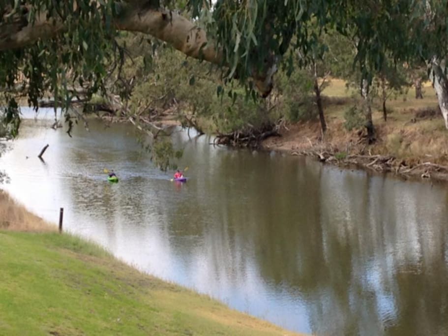River Activities - Kayaks