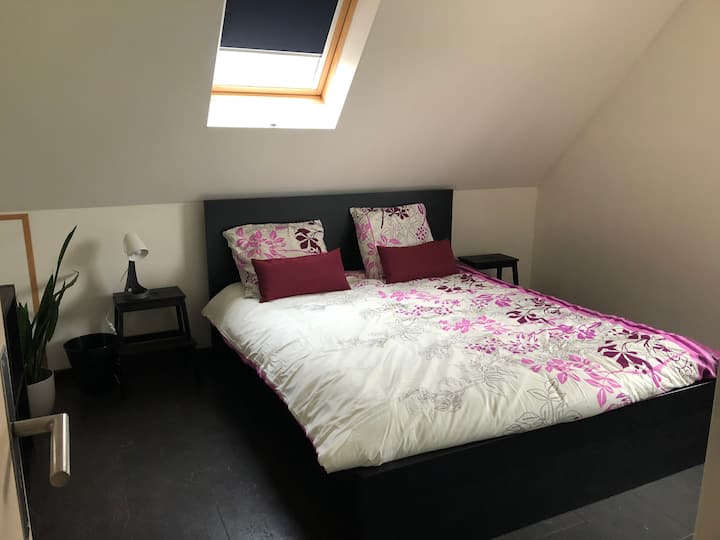 卧室1 -所有窗户都有夜间纱窗 