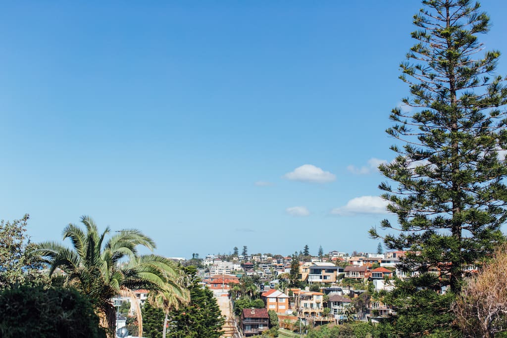 View from the garden