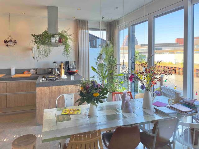 Modern stylish villa: My Amsterdam Houseboat gallery image 3