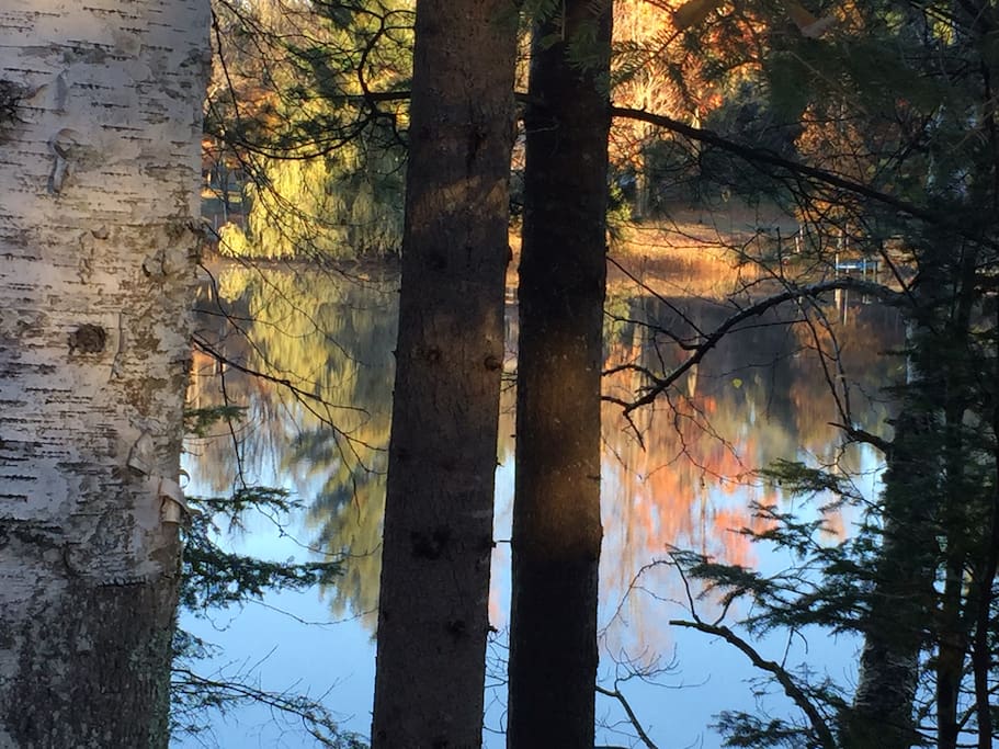 Fall Colors from shore