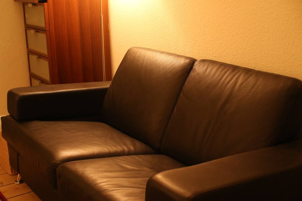 Another couch to read a book and take a nap in same room.