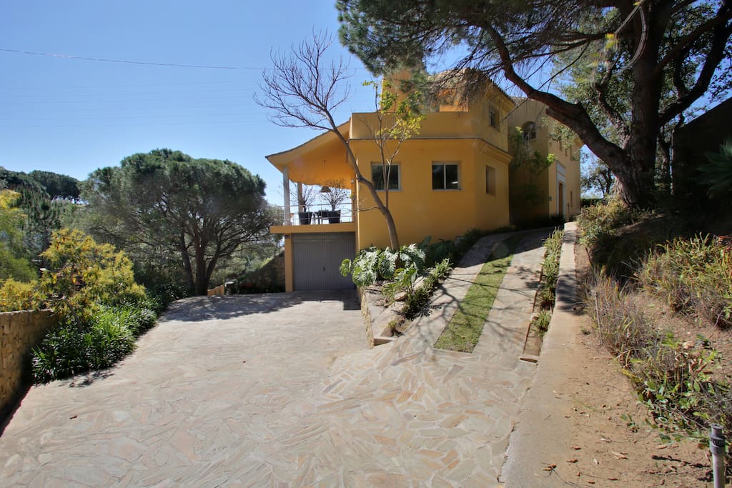 vista lateral