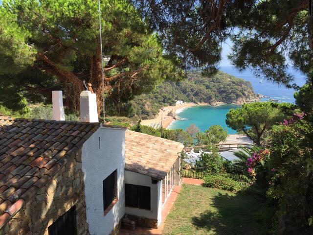 Villa Migjorn Cala Canyelles gallery image 2