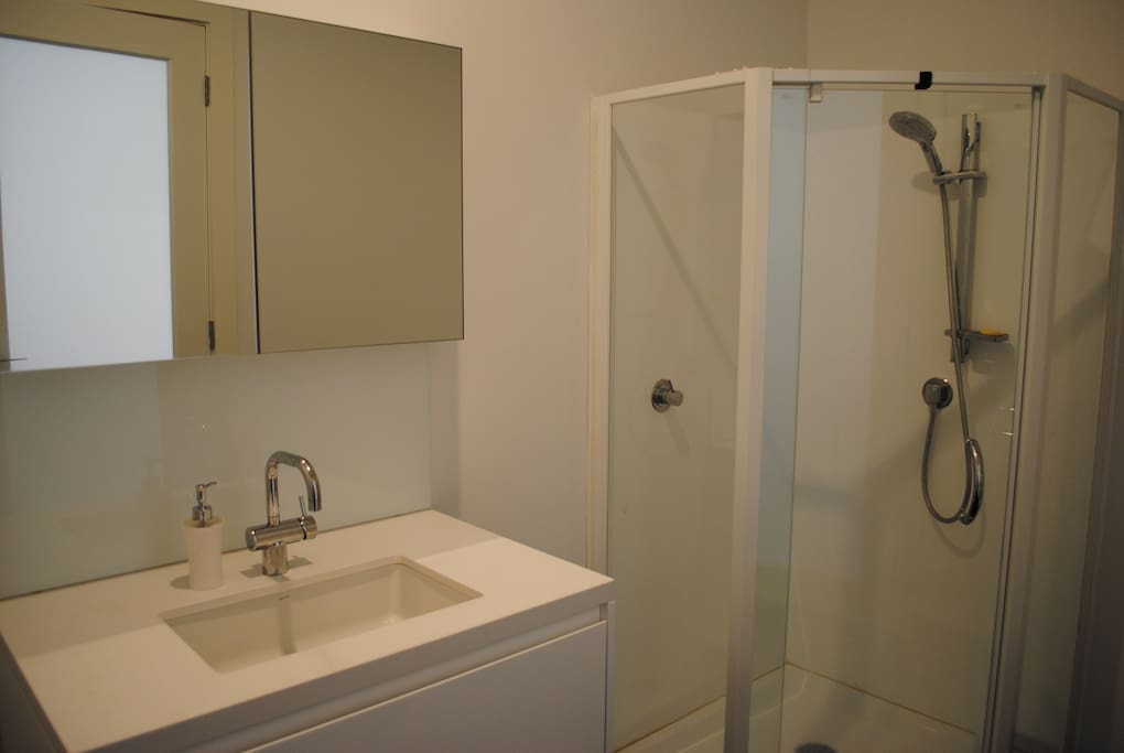 The Bathroom - shower, toilet