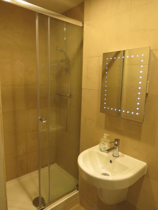 The Bathroom / The Shower