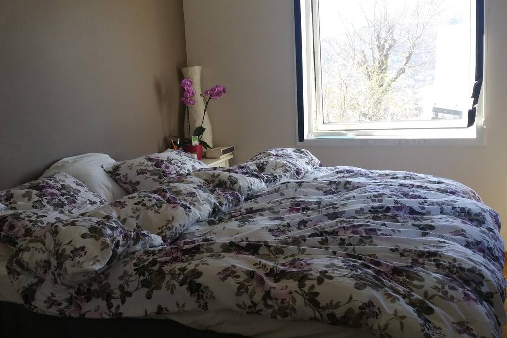 room 1