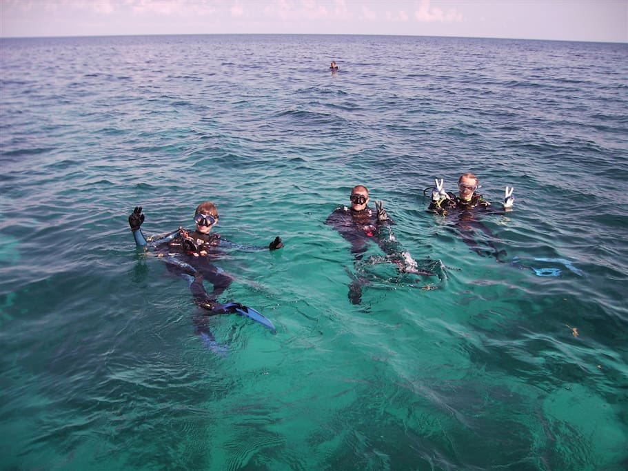 Dive trips to blue hole are organized for you