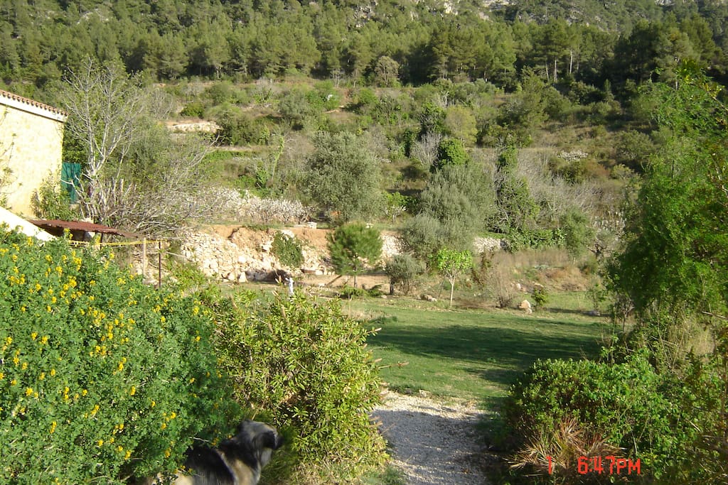 garden area