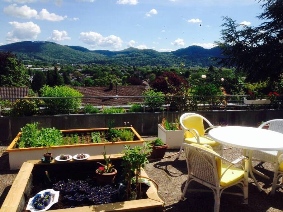Die Terrasse