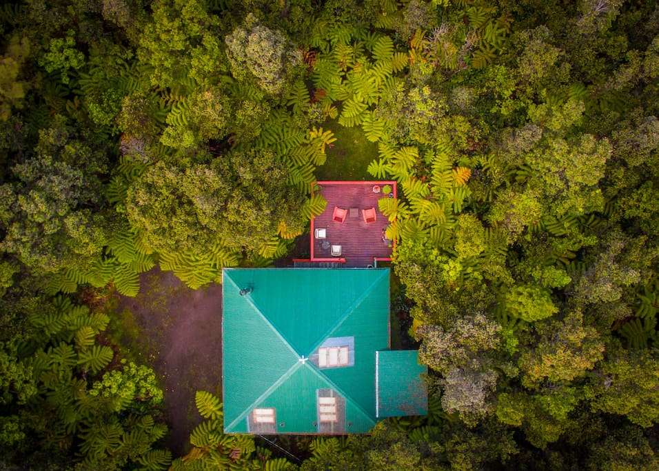 Aerial view of house and lush forest on all sides.