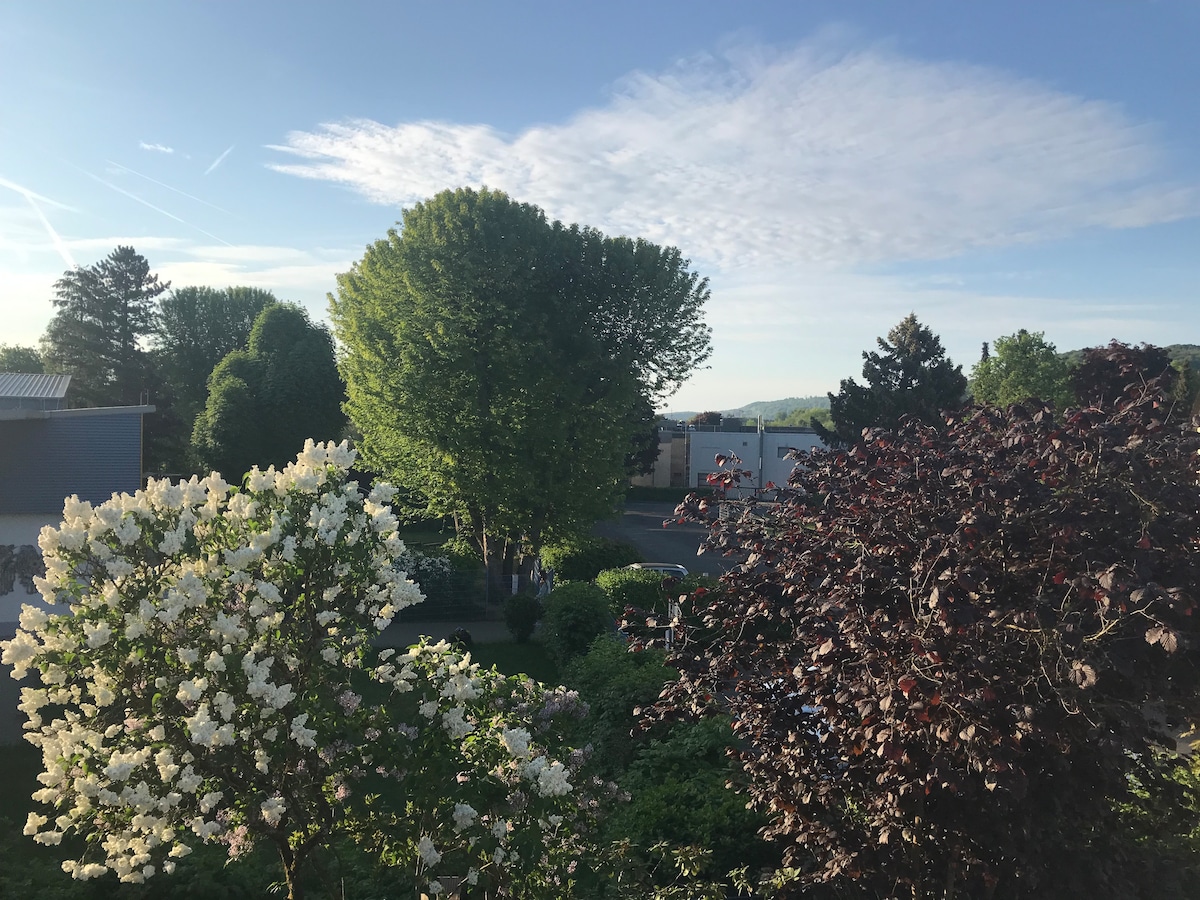 An outdoor view captures lush greenery, including large trees and flowering shrubs in various shades. A clear sky with soft clouds is visible, enhancing the scene's natural beauty. The landscape suggests a tranquil environment, suitable for relaxation and appreciation of nature.