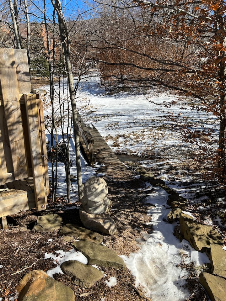 Top 9 SkiIn SkiOut In Canaan Valley, West Virginia
