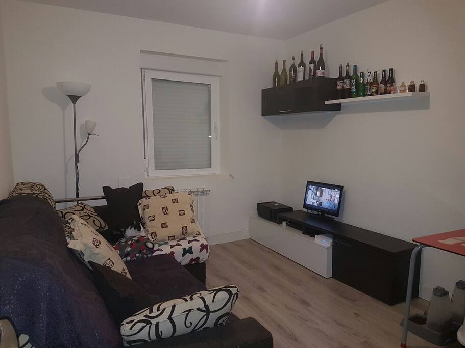 Salón y las gatitas.