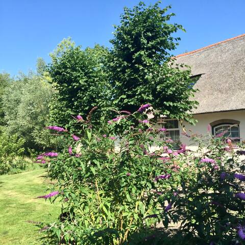 Luxury accommodation in the Groene Hart
