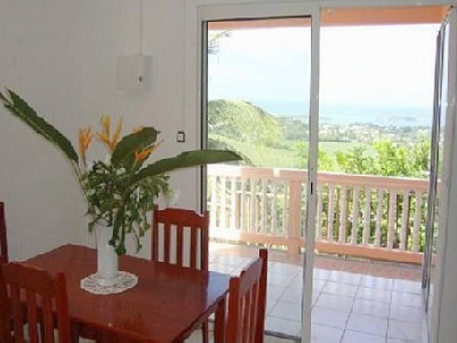 Nos appartement est situé au rez de jardin et donne avec vue sur la mer avec une véranda et un salon de jardin