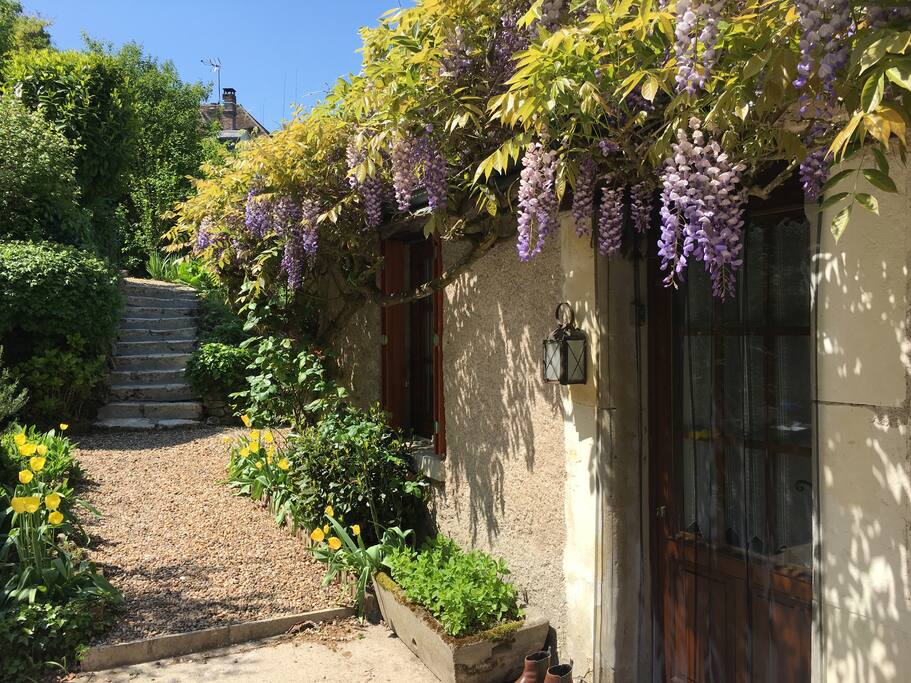 Back door
