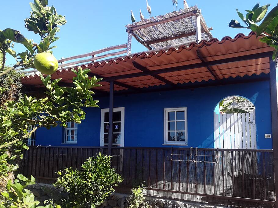limoneros