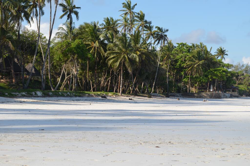 White Sandy Shore @ Galu Beach
