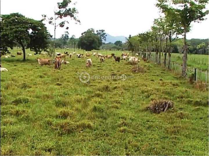 Куќа во природа