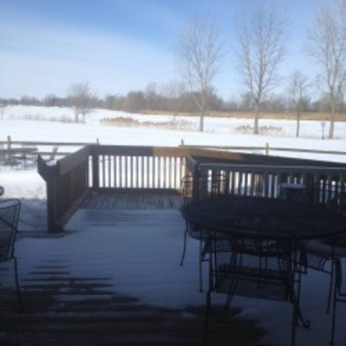 Winter wonderland