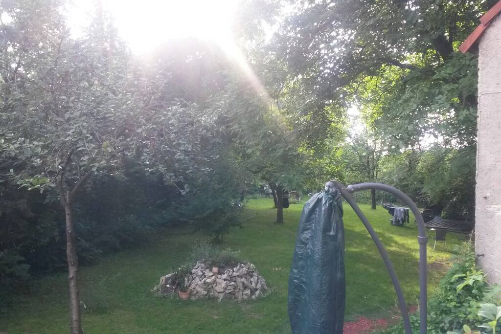 Blick in den Garten vom Eingang aus